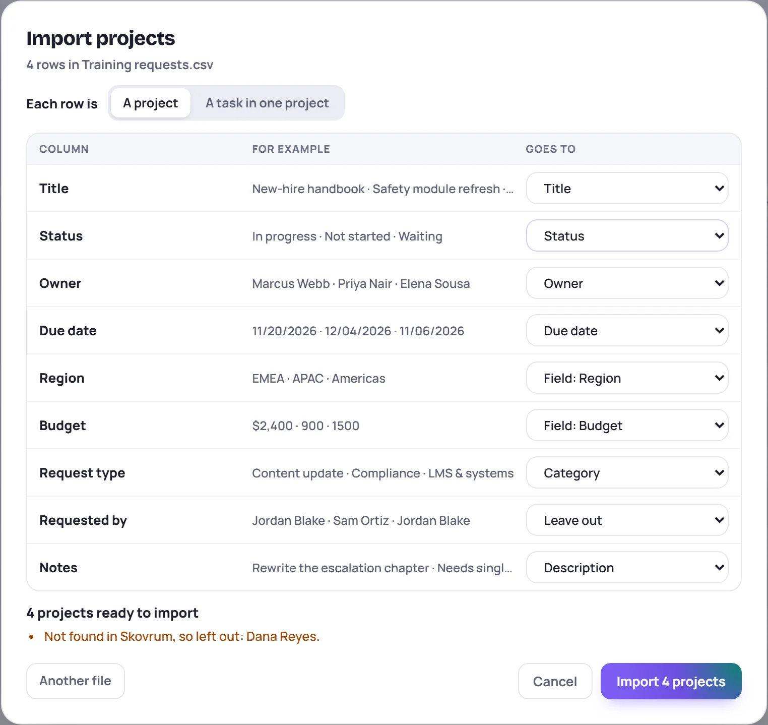 The import window: each column of the file, an example of what it holds, and where it goes