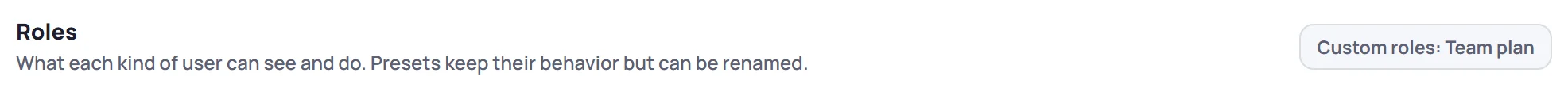 Manage → Roles on Solo: Custom roles: Team plan